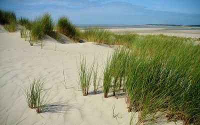 Partir en vacances au Pas de Calais